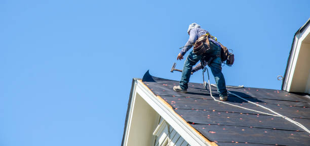 Roof Gutter Cleaning in Salem, VA